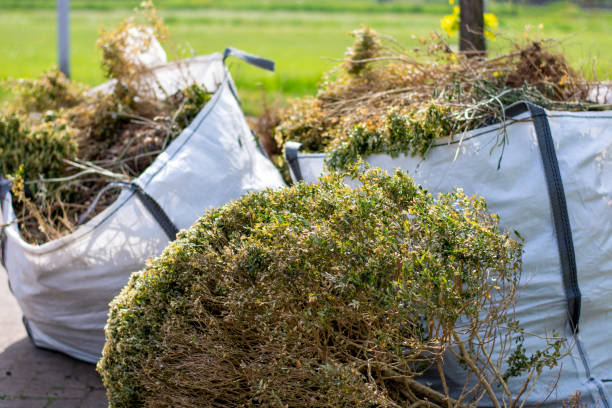 Best Mattress Removal Service  in Westview, FL